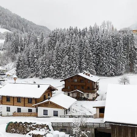 Appartement Close To Lifts Mittersill