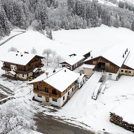Appartement Close To Lifts Mittersill